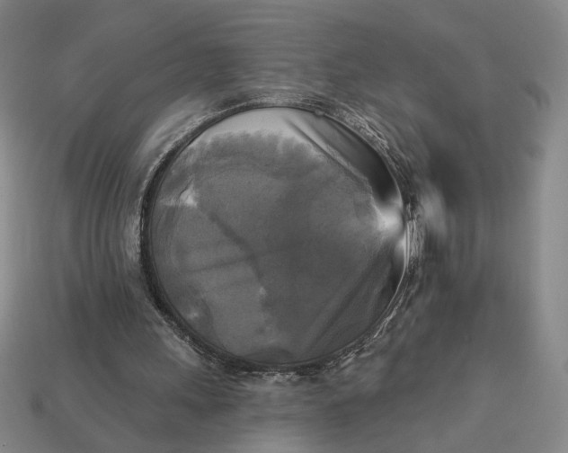 X0000112960243200909101638