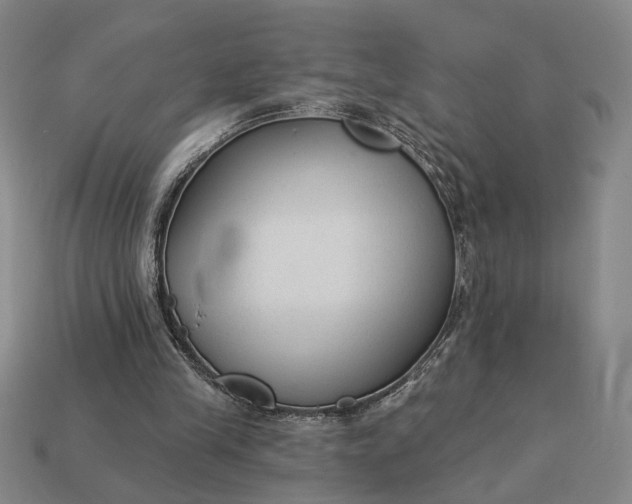 X0000112960245200909101638