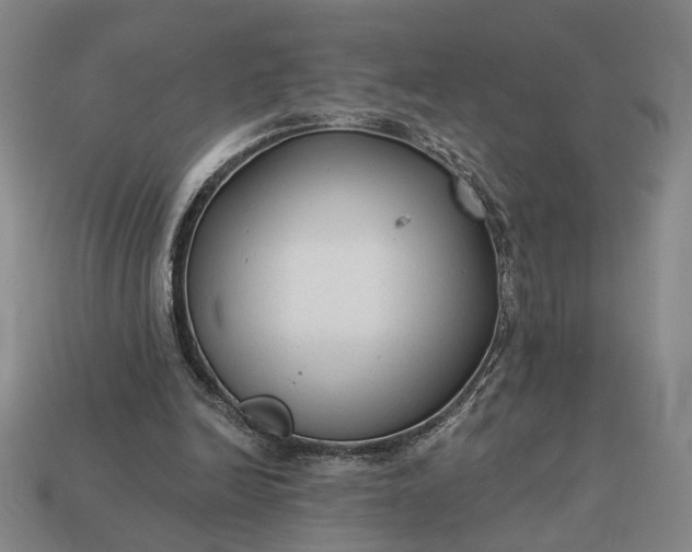 X0000112960246200909101638