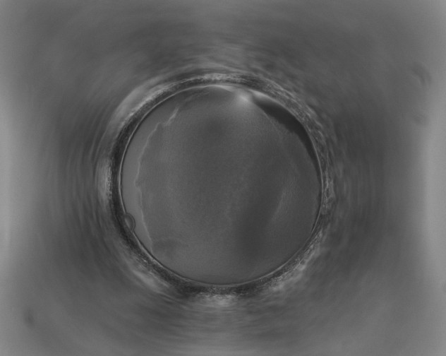 X0000112960247200909101638