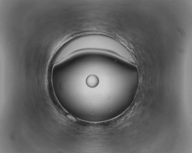 X0000112960248200909101638