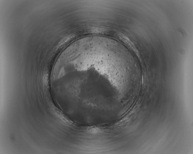 X0000112960249200909101638