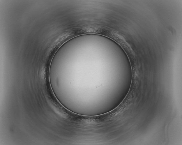 X0000112960250200909101638