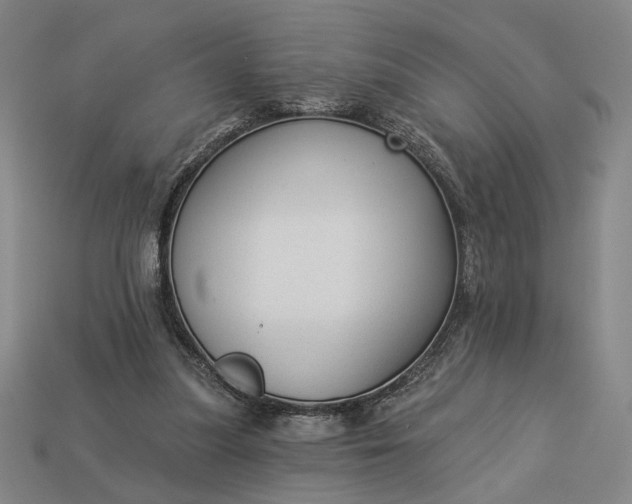 X0000112960251200909101638