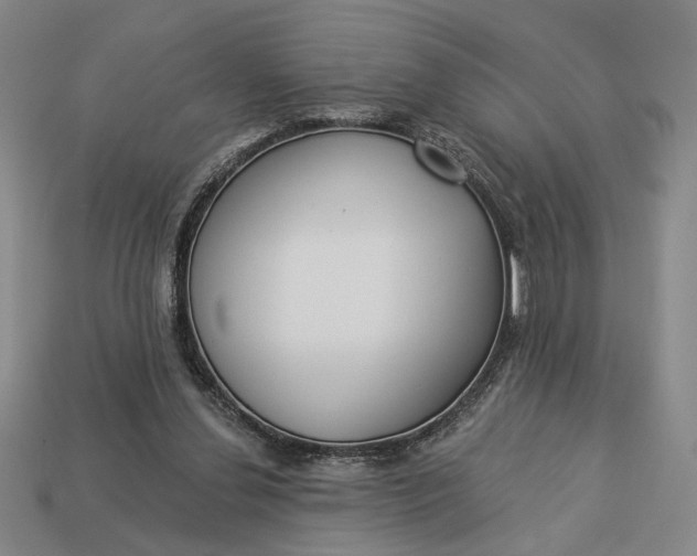 X0000112960252200909101638