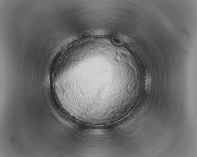 X0000112960254200909101638