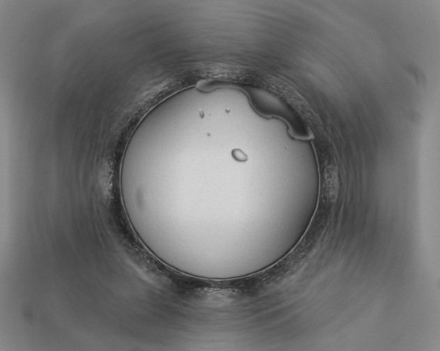 X0000112960255200909101638