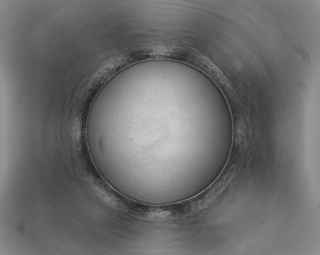 X0000112960257200909101638