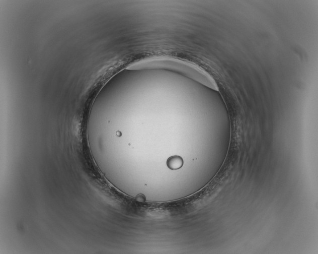 X0000112960258200909101638