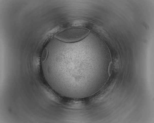 X0000112960260200909101638