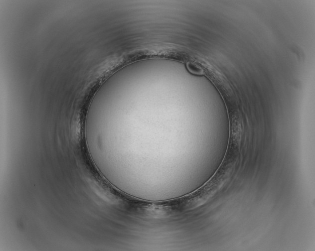 X0000112960261200909101638