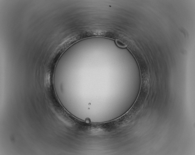 X0000112960262200909101638