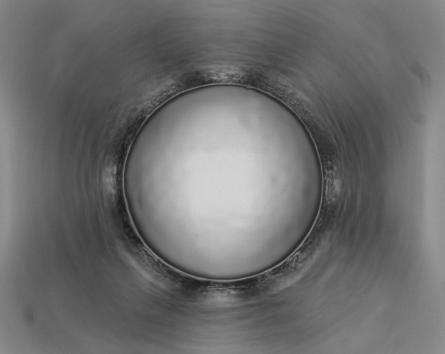 X0000112960263200909101638