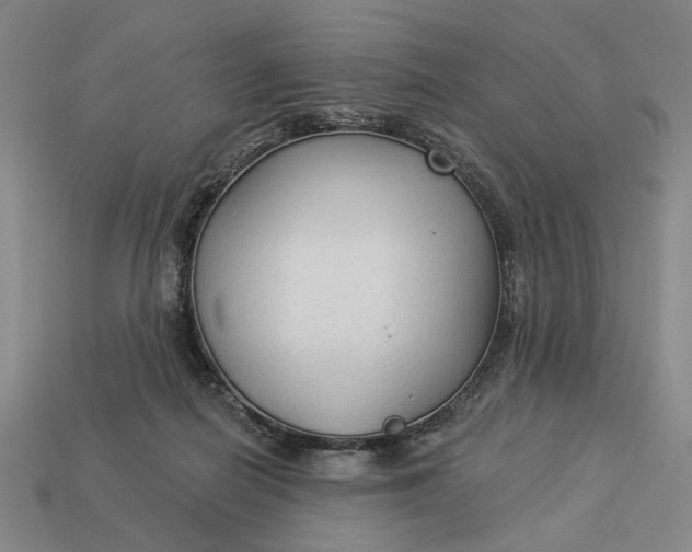 X0000112960266200909101638