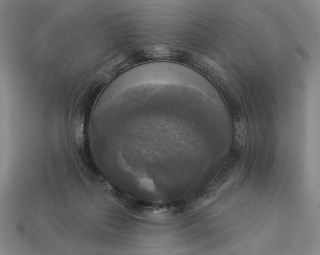 X0000112960267200909101638