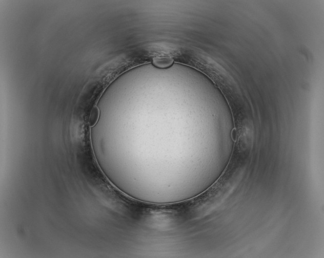 X0000112960268200909101638