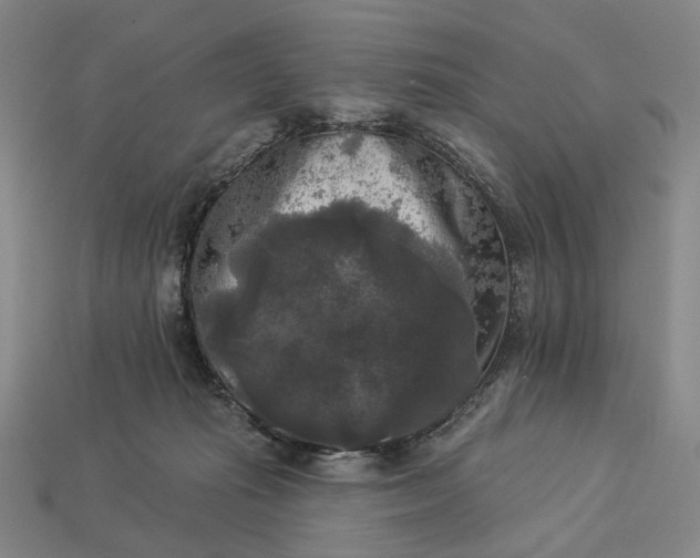 X0000112960269200909101638