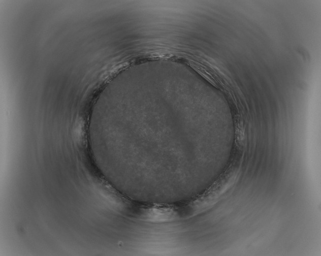 X0000112960270200909101638