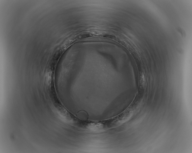 X0000112960271200909101638