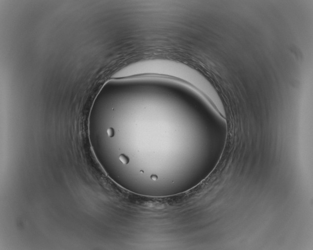 X0000112960272200909101638