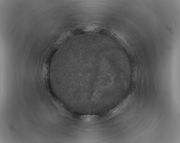 X0000112960273200909101638