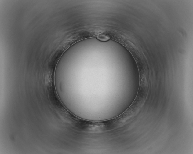 X0000112960274200909101638