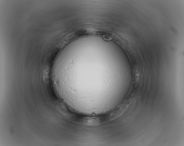 X0000112960275200909101638