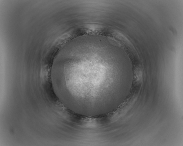 X0000112960276200909101638