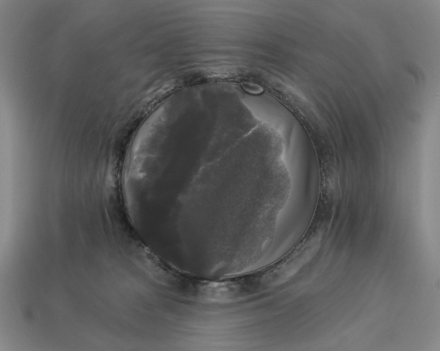 X0000112960277200909101638