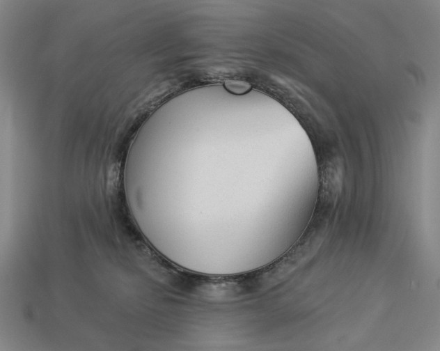 X0000112960278200909101638