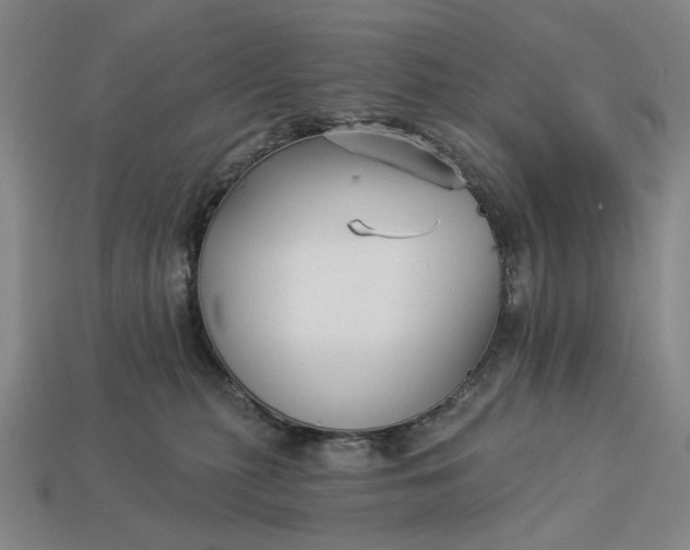 X0000112960279200909101638