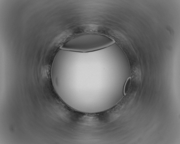 X0000112960280200909101638