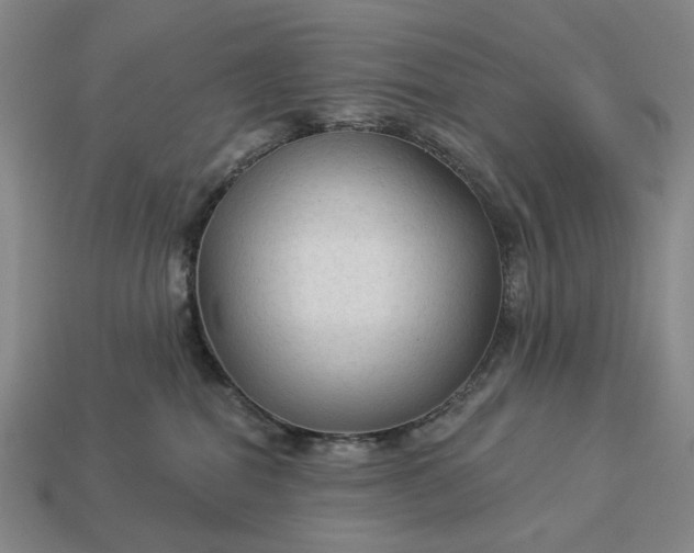 X0000112960282200909101638