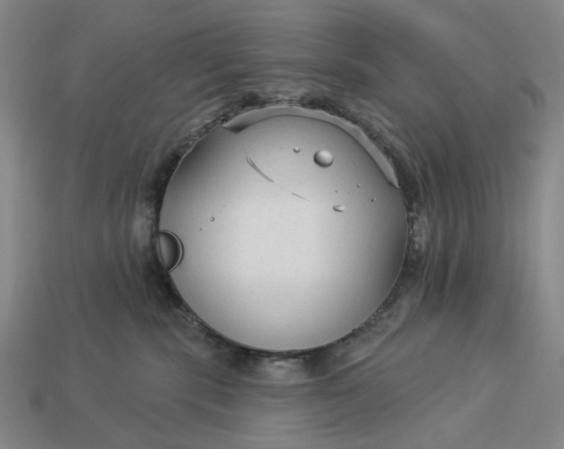 X0000112960283200909101638