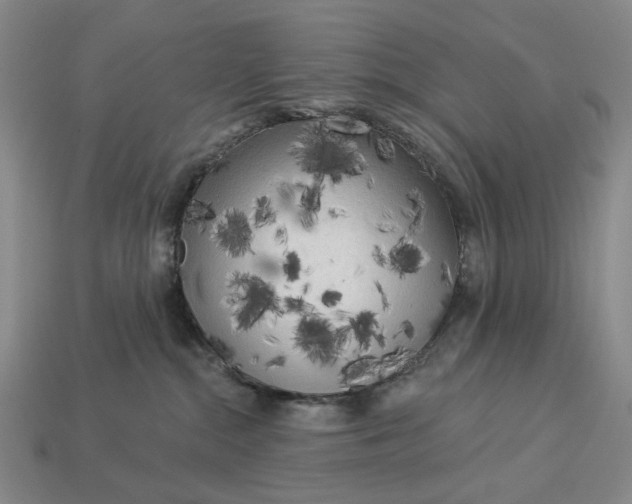 X0000112960284200909101638