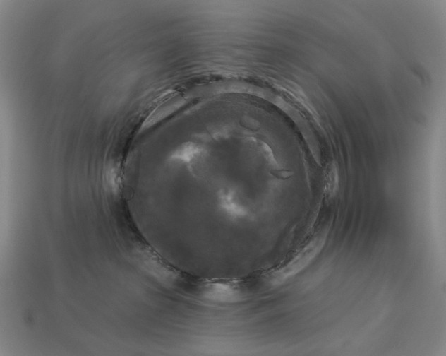 X0000112960285200909101638