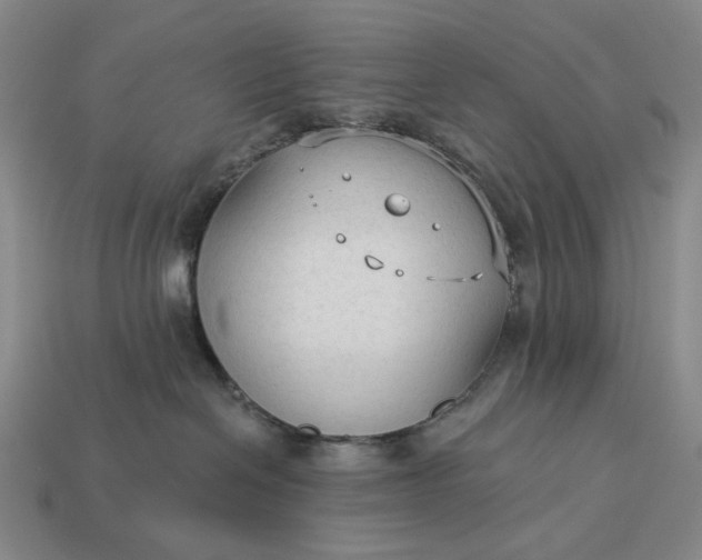 X0000112960286200909101638