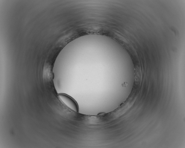 X0000112960287200909101638