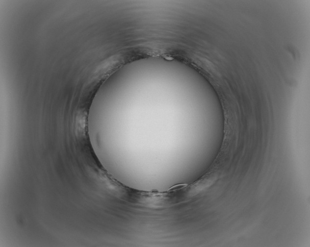 X0000112960288200909101638