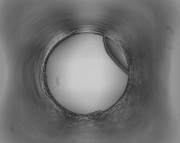 X0000112960289200909101638