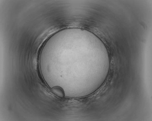 X0000112960290200909101638