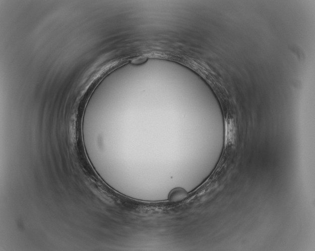 X0000112960291200909101638