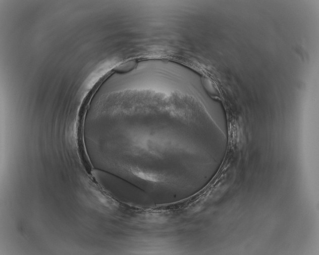 X0000112960292200909101638