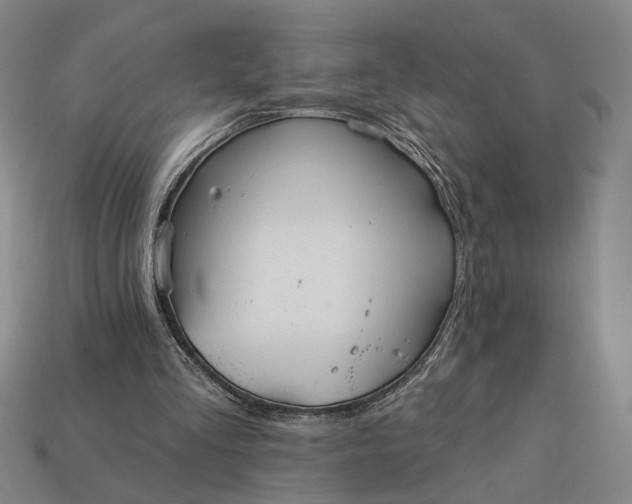 X0000112960293200909101638