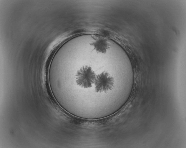 X0000112960294200909101638