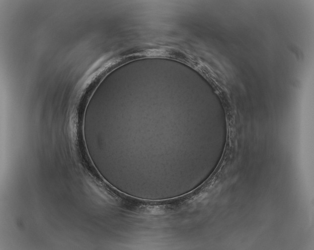 X0000112960295200909101638