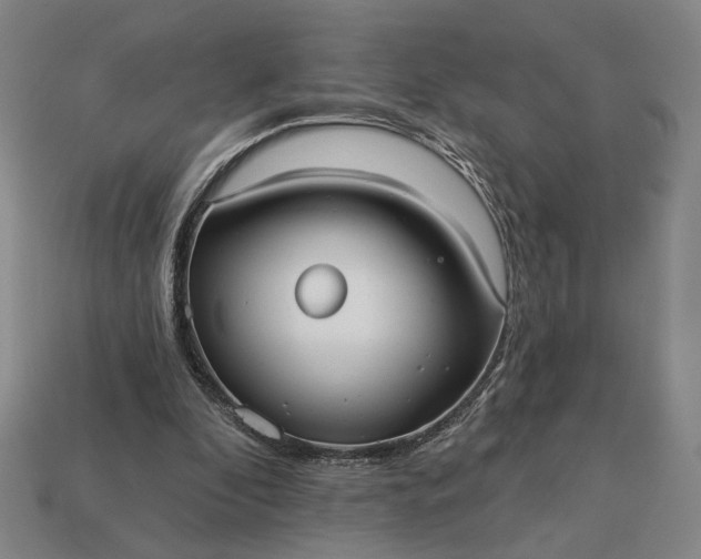 X0000112960296200909101638