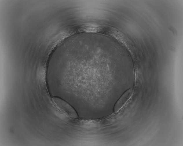 X0000112960297200909101638