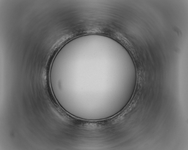 X0000112960298200909101638