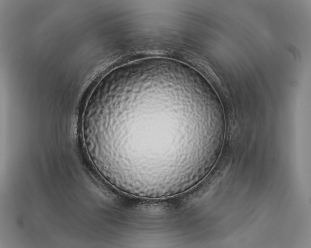 X0000112960299200909101638